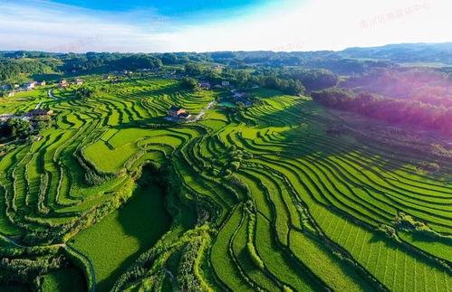 重庆爆料南川新闻 第3张 重庆爆料南川新闻 第3张